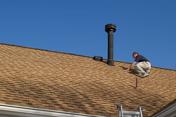 Best Roof Coating and Sealing  in Lumbine, CO